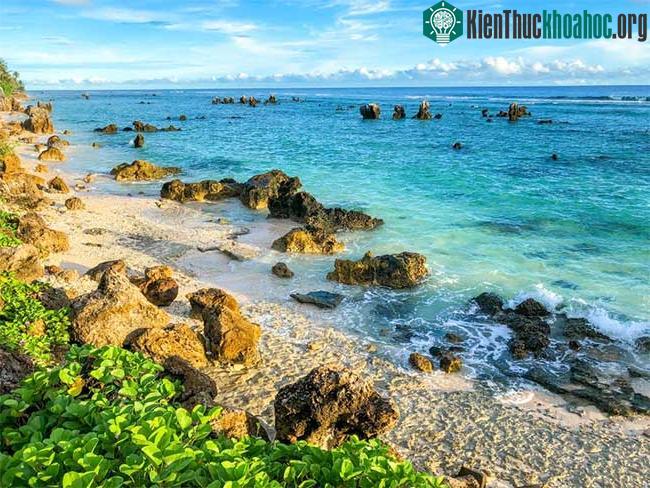 Nauru được bao quanh bởi rạn san hô, phù hợp cho các hoạt động lặn biển.