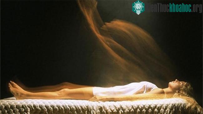 Bộ não con người luôn được coi là một trong những cơ quan bí ẩn nhất trong tự nhiên.