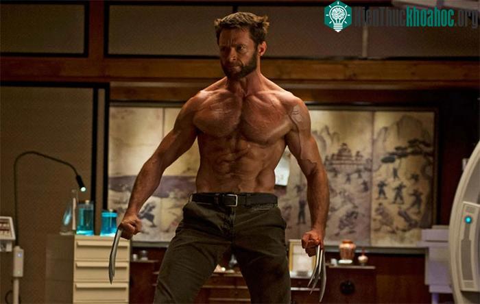 Khung xương và móng vuốt bằng kim loại Adamantium của Người Sói.