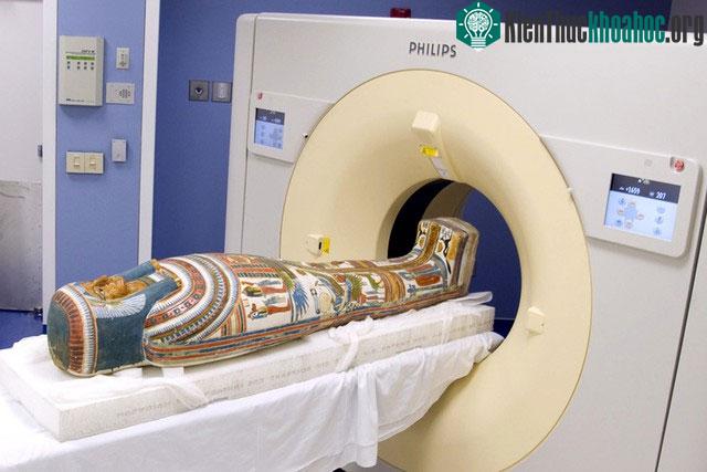 Các nhà khoa học phát hiện chế độ ăn uống của Meresamun rất lành mạnh và đa dạng.