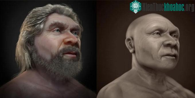Gương mặt phục dựng của một người đàn ông Neanderthal.
