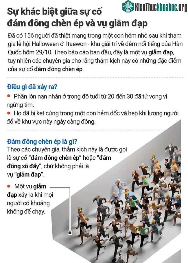 Sự khác nhau giữa một vụ đám đông chèn ép và một vụ giẫm đạp.