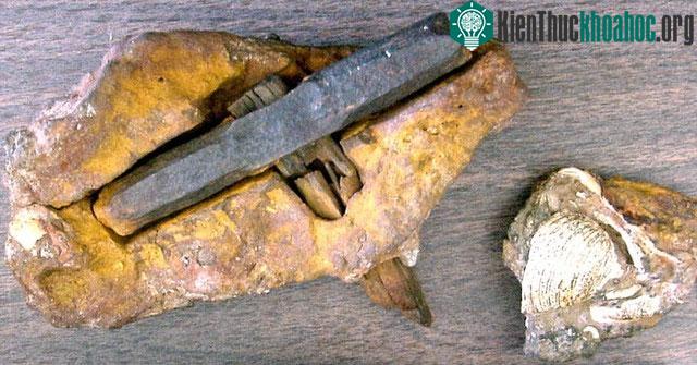 Chiếc búa được phát hiện vào năm 1936