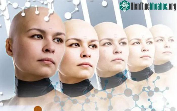 Cho đến hiện tại, không có bất kỳ lý do chính đáng nào để nhân bản một con người.