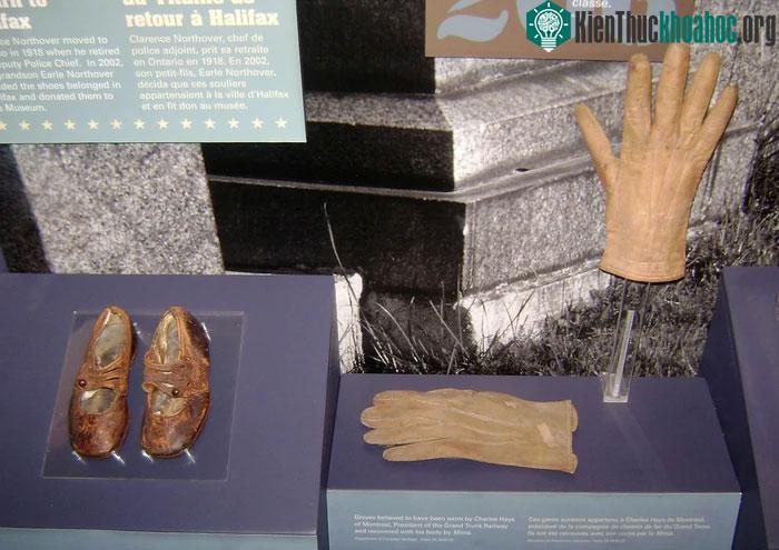 Nhiều đồ vật của các hành khách được tìm thấy gần xác tàu Titanic.