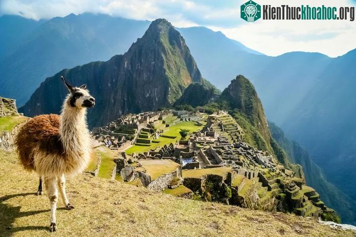 Machu Picchu đã được UNESCO bình chọn là di sản thế giới vào năm 1983