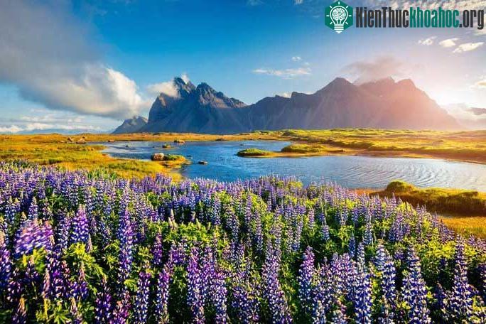 Iceland được đánh giá cao nhờ tinh thần hỗ trợ mọi người và sự rộng lượng.