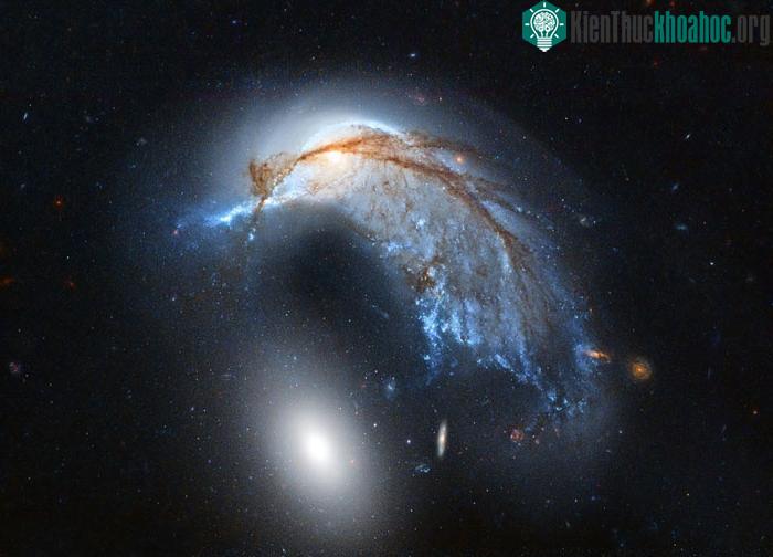 Thiên hà Porpoise (NGC 2936) nằm trong chòm sao Hydra.