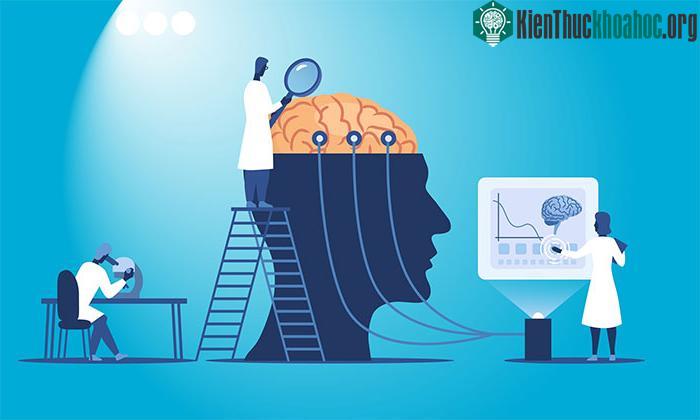 Cơ học lượng tử tiết lộ bí ẩn của ý thức: Tại sao một tập hợp các hạt lại có thể tạo ra ý thức? ảnh 2