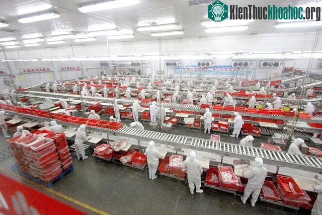 Mỹ có công nghệ chăn nuôi tiên tiến và quy mô sản xuất lớn.