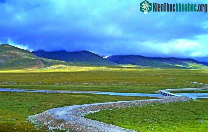 Nagqu có hàm lượng không khí quá thấp nên cây cối không thể phát triển được.