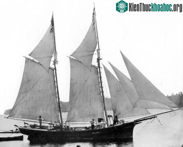 Hình ảnh con tàu Lake Serpent trước khi bị đắm.