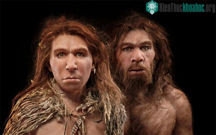 Người Neanderthal thông minh hơn đười ươi và khỉ, vậy tại sao họ lại tuyệt chủng cách đây 30.000 năm? ảnh 2