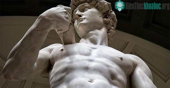 Tượng David của Michelangelo được trưng bày tại Galleria dell' Accademia.