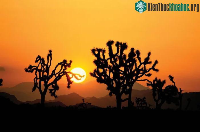 Hoạt động của Mặt trời cũng sẽ ảnh hưởng đến Trái đất và các thiên thể khác.