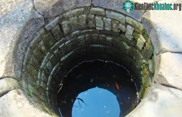 Vì sao cá được nuôi trong giếng hay bể nước mưa không thể lớn? ảnh 3