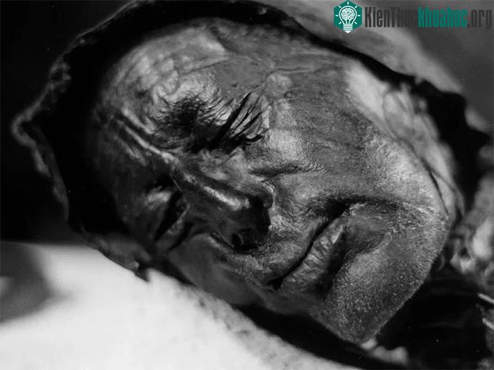 Tollund Man được bảo quản cực kỳ tốt nhờ điều kiện môi trường của đầm lầy.