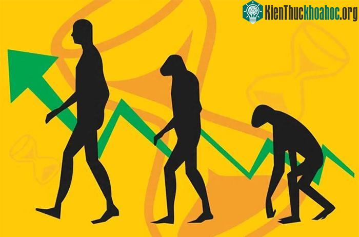 Cái chết cũng thúc đẩy sự tiến hóa ở cấp độ xã hội