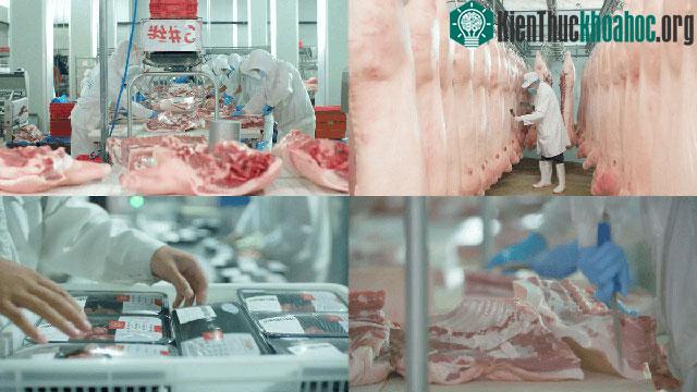 Chỉnh sửa gene giúp cải thiện chất lượng thịt, nâng cao hiệu suất tăng trưởng của lợn.&nbsp;