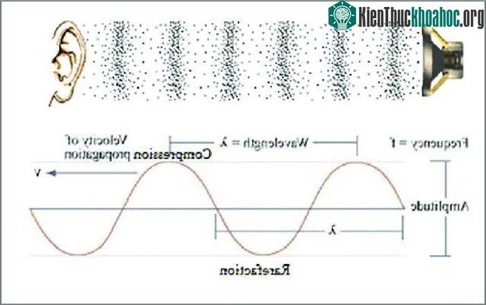 Sóng điện từ có thể truyền đi mà không cần có môi trường truyền còn sóng âm thì ngược lại.