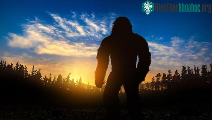 Gigantopithecus