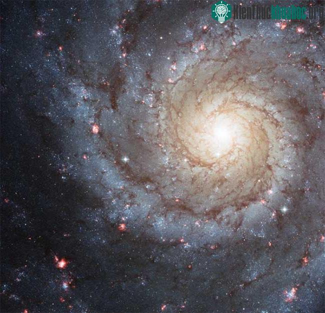 Thiên hà xoắn ốc Phantom (Messier 74)