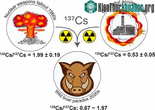 Động vật rừng ở Bavaria và những nơi khác bị nhiễm phóng xạ Caesium từ vụ nổ Chernobyl