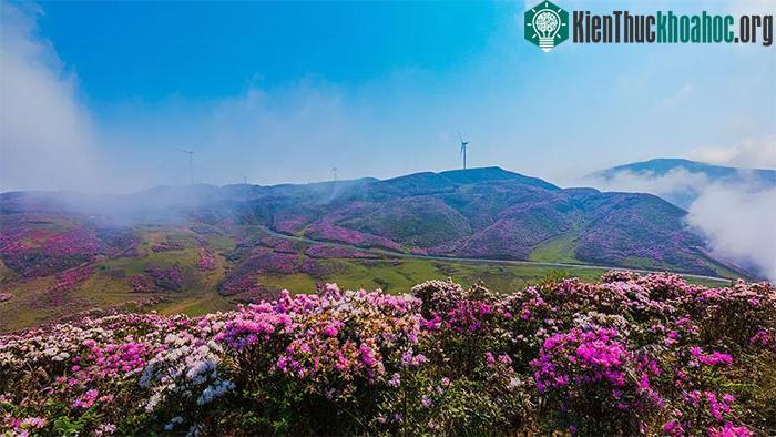 "Thành phố không dùng điều hòa" ở Trung Quốc: Người dân không biết nắng nóng là gì!