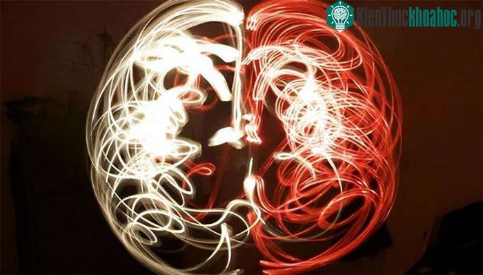 Tại sao con người lại tiến hóa cơ chế chết? Sự bất tử có thực sự tuyệt vời như bạn tưởng tượng? ảnh 6