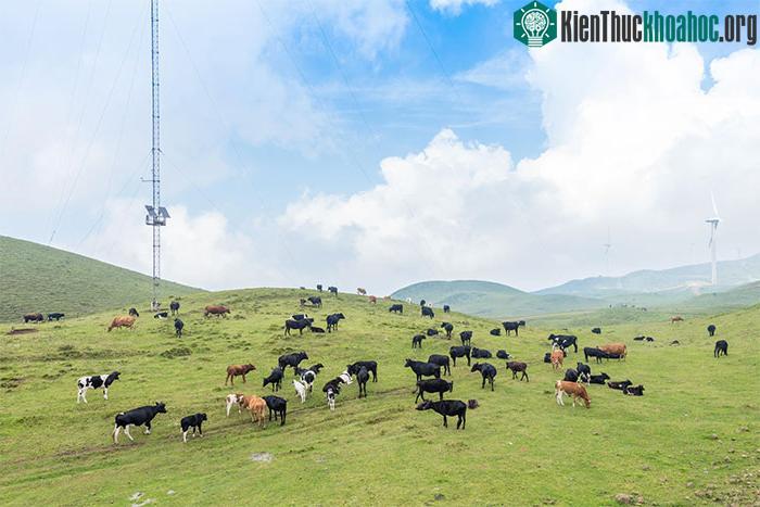 "Thành phố không dùng điều hòa" ở Trung Quốc: Người dân không biết nắng nóng là gì! ảnh 7