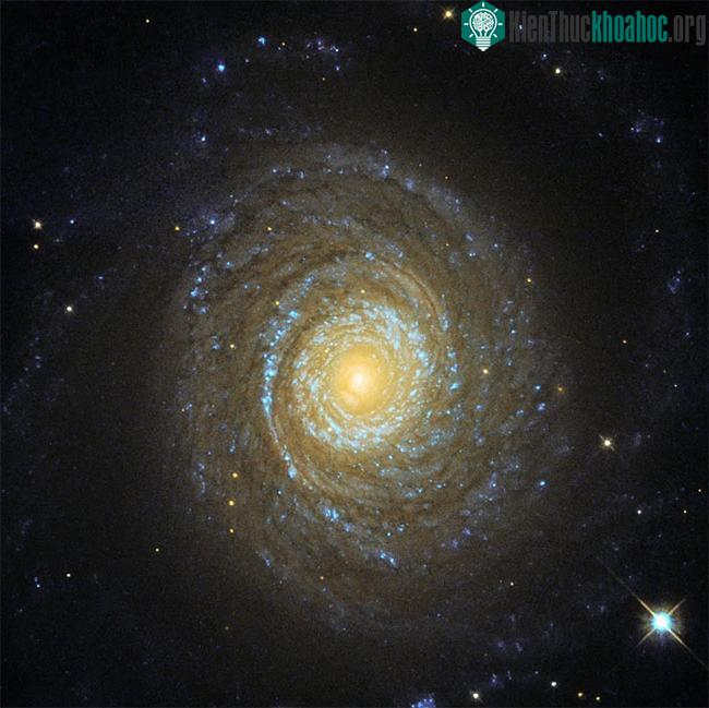 Thiên hà NGC 6753 cách Trái đất 150 triệu năm ánh sáng.