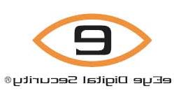 eEye tung ra bản vá lỗi IE ảnh 0