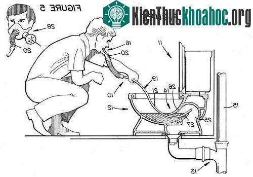Mô hình ống thở qua đường bồn cầu. (Ảnh: Apartment Therapy).