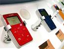 Khan hiếm chip 1 GB cho máy MP3 mùa Giáng sinh ảnh 0