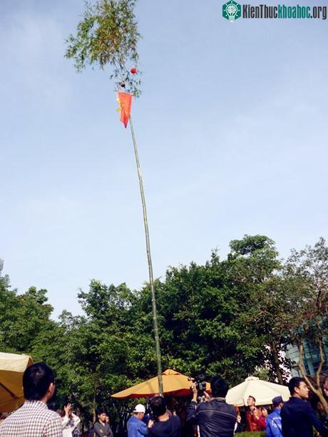 Cây nêu ngày Tết. (Ảnh: hanoitv).