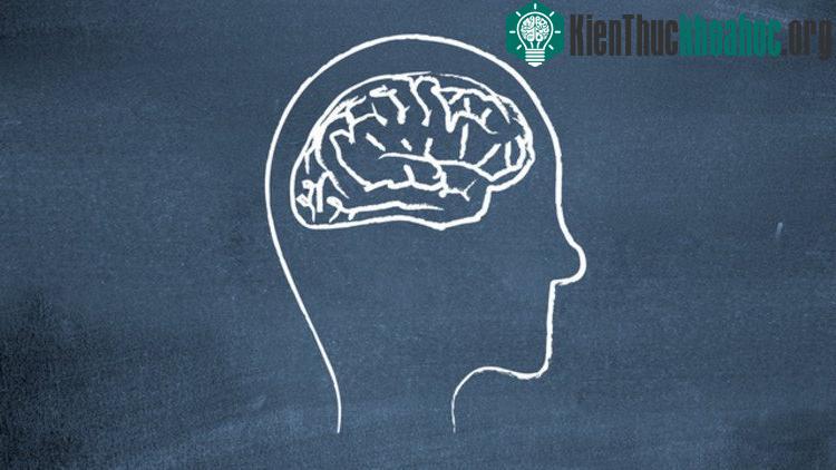 Sự thật là những người ít nói lại là những người nghĩ rất nhiều.