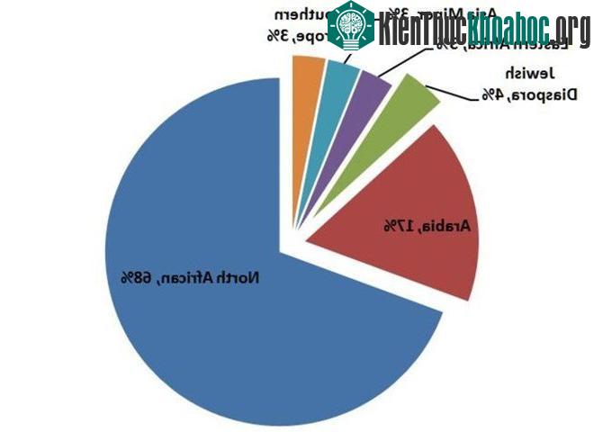 Theo nghiên cứu, chỉ có 17% người Ai Cập là gốc Arab.