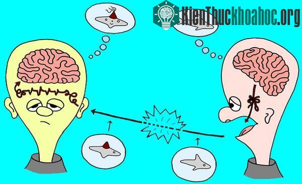 Suy giảm trí nhớ sau sinh