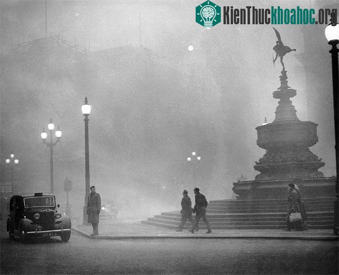 Sương mù dày đặc, che lấp cả ánh Mặt trời, hàng ngàn người đã gặp vấn đề về hô hấp.