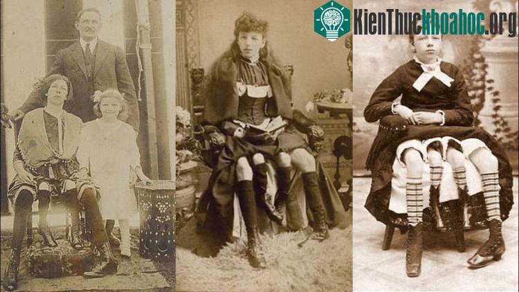 Quý bà 4 chân Myrtle Corbin