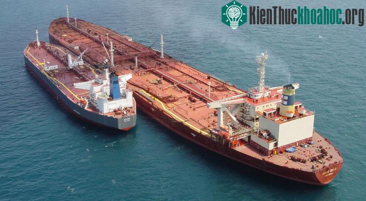 Jahre Viking khi đặt cạnh những con tàu chở dầu bình thường khác.