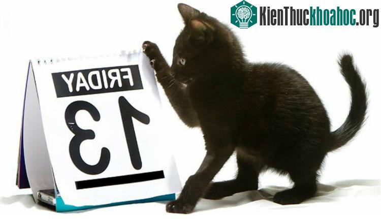 Chú mèo đen đi ngang qua trước mặt bạn sẽ mang đến nhiều điềm xui xẻo cho gia đình bạn.