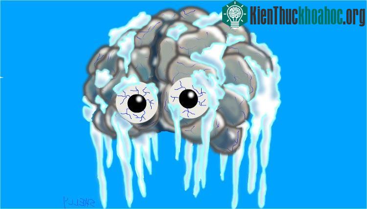 Hãy yên tâm nhé, não bạn không có lạnh đâu.