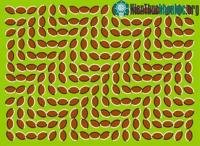 Các hình vẽ trong bức ảnh dường như đang chuyển động. (Ảnh: Jon Ross).