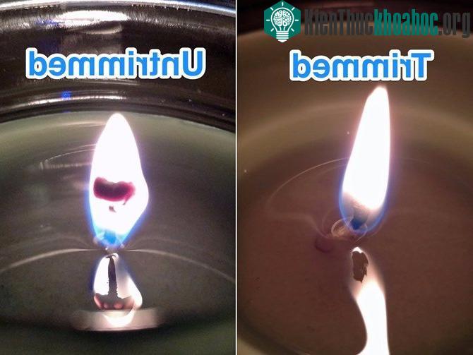 Sợi bấc được cắt ngắn sẽ làm cho ánh nến trở nên sáng và trong hơn.