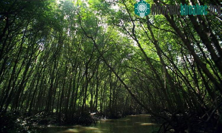 Tổng diện tích khu dự trữ sinh quyển này là 75.740 ha