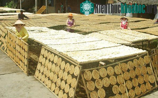 Làng nghề chuối khô ở Cà Mau