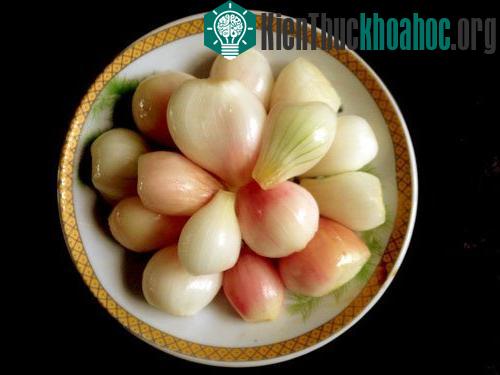 Lý giải vui: Vì sao bánh chưng lại ăn với dưa hành?