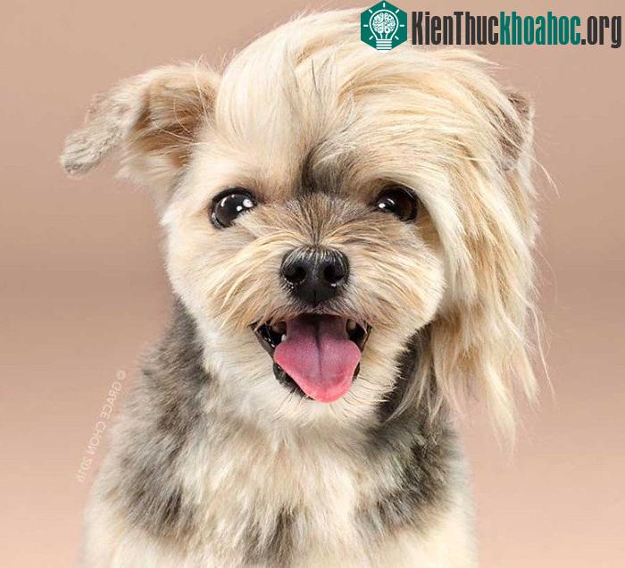 Chúng ta muốn bảo vệ và chăm sóc cho chúng.