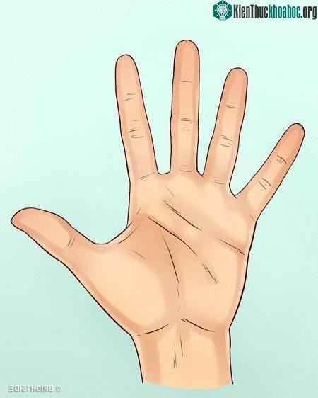 Khoảng cách giữa các ngón tay